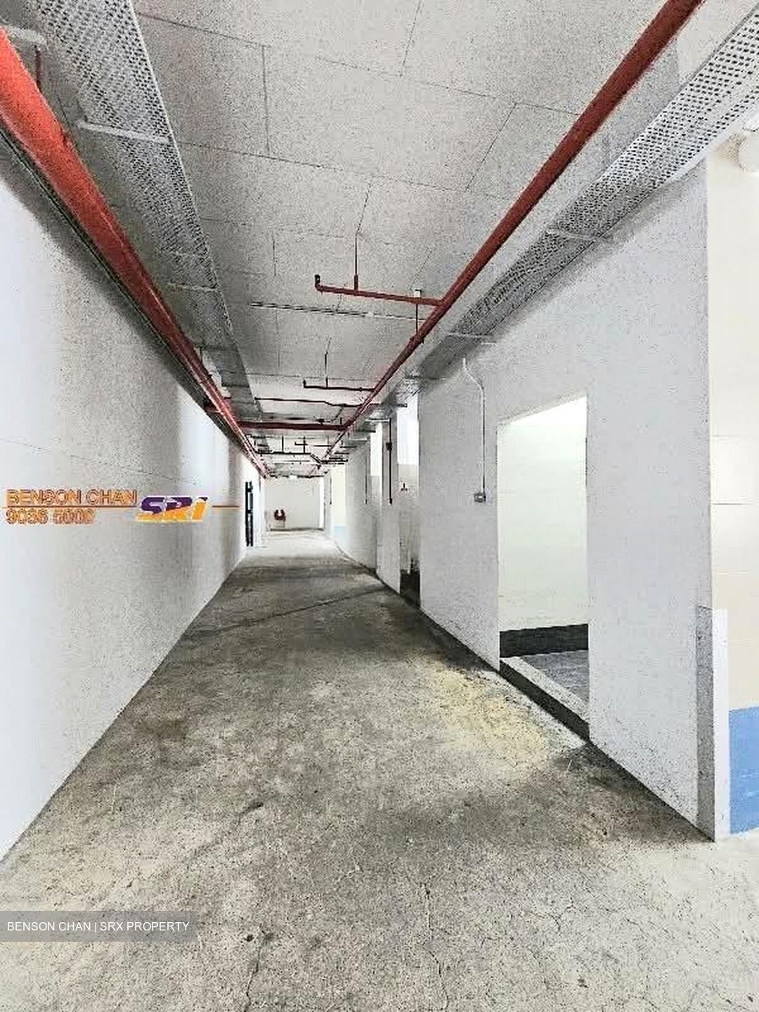 Perfect One (D13), Factory #553989431
